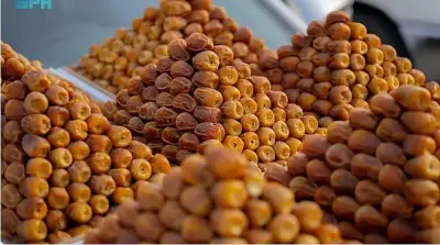 صادرات التمور السعودية ترتفع 67% إلى اليابان في 2025