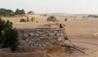 فرع البيئة بالمدينة المنورة يعزز السلامة المائية عبر تحصين 67 بئرًا وإصدار 88 رخصة