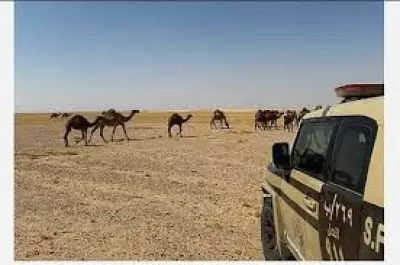 وزير الصحة السعودي يعلن عن إطلاق برنامج وطني للكشف المبكر عن سرطان الثدي