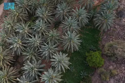 شرق مكة: رحلة بين تضاريس متنوعة وإرث حضاري عريق في الجبال والأودية والحصون