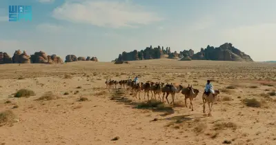 وزير التعليم يعلن عن إطلاق برنامج جديد لتحسين جودة التعليم في المدارس الحكومية