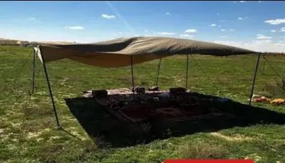 الأمن البيئي يضبط مخالفًا للتخييم دون ترخيص في محمية الملك عبدالعزيز الملكية