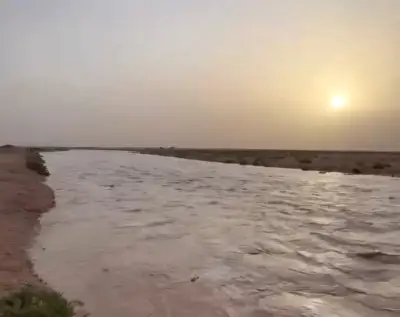 وزير الصحة السعودي يعلن عن إطلاق برنامج وطني شامل للصحة النفسية