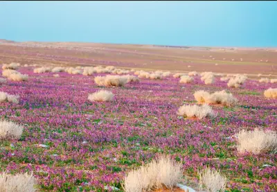 المركز الوطني للغطاء النباتي يوقع عقود استثمارية في ثلاثة متنزهات وطنية لتعزيز السياحة البيئية