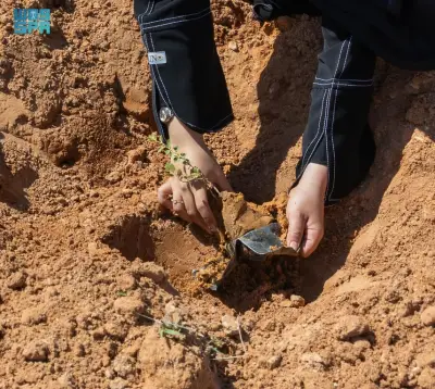 وزير الصحة السعودي يعلن عن إطلاق برنامج وطني للكشف المبكر عن السرطان