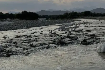 وزير الصحة السعودي يعلن إطلاق برنامج وطني للكشف المبكر عن سرطان الثدي