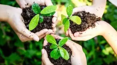 يوم الأرض: الاحتفال العالمي بالبيئة والتحديات المناخية المستمرة