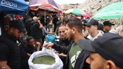 تحت وطأة الحصار.. أوراق الملوخية تتحول إلى سجائر بديلة في غزة