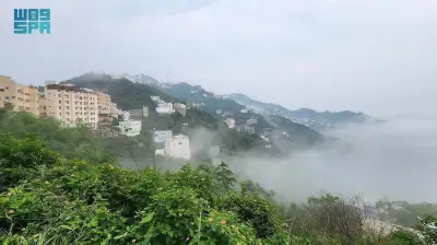 تطوير تقنيات الذكاء الاصطناعي لتحسين جودة الرعاية الصحية في المملكة