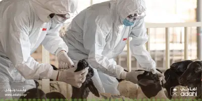 تحول رقمي في قطاع الصحة السعودي بتقنيات الذكاء الاصطناعي