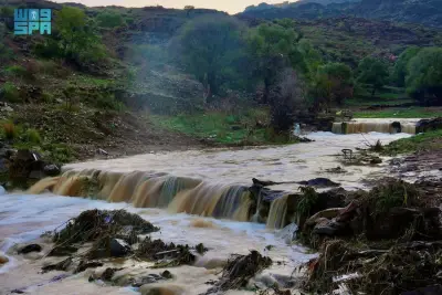 أمطار الباحة تزين الجبال والشلالات وتنعش السياحة الداخلية