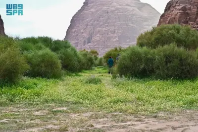 حقل تكتسي بالخضرة بعد الأمطار وتجذب المتنزهين