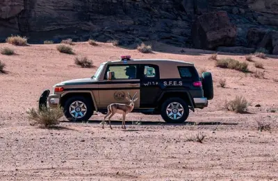 القبض على مواطن لإشعال نار في محمية الأمير محمد بن سلمان