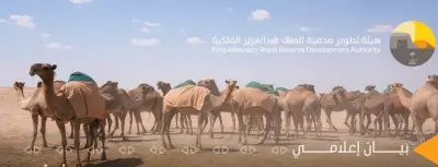 آلية جديدة لإصدار تصاريح الرعي في محمية الملك عبد العزيز الملكية