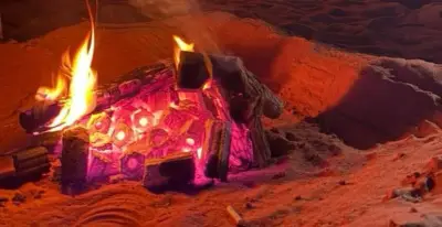 القبض على مواطن لإشعال نار في محمية الملك عبدالعزيز ومقيم لتلويث التربة