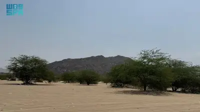 وادي المغمس البري في مكة وجهة طبيعية فريدة للسياحة البيئية