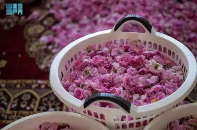 صناعة ماء الورد في الطائف: حرفة تراثية تزدهر بجودة عالية وتقنيات حديثة