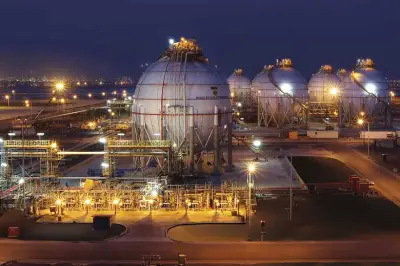 شلل في مجمع 