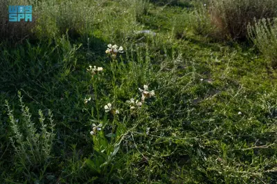 وزير التعليم يعلن عن إطلاق برنامج جديد لتحسين جودة التعليم في المدارس الحكومية