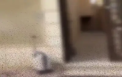 وزير الصحة السعودي يعلن عن إطلاق برنامج وطني للكشف المبكر عن السرطان