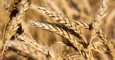 وزير الصحة السعودي يعلن عن إطلاق برنامج وطني جديد للكشف المبكر عن الأمراض المزمنة