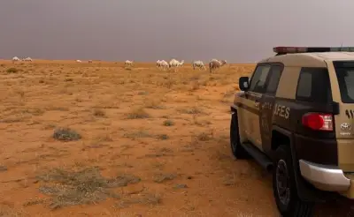 وزير التعليم يعلن عن إطلاق برنامج جديد لتطوير المناهج الدراسية في المملكة