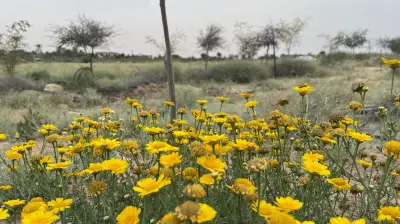 وزير الصحة السعودي يعلن عن إطلاق برنامج وطني للكشف المبكر عن السرطان