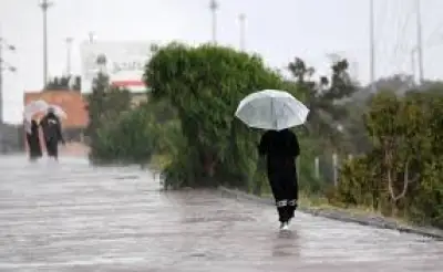 وزير التعليم يعلن عن إطلاق برنامج جديد لتعزيز مهارات الطلاب في العلوم والتكنولوجيا والهندسة والرياضيات