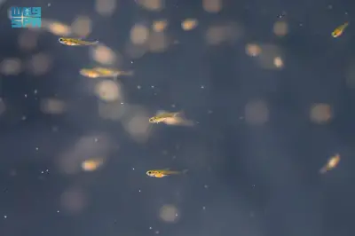 وزير التعليم يعلن عن إطلاق برنامج جديد لدعم الطلاب الموهوبين في المدارس الحكومية