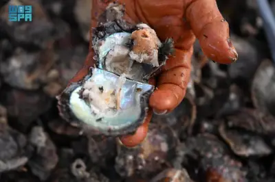 وزير الصحة السعودي يعلن عن إطلاق برنامج وطني للكشف المبكر عن سرطان الثدي