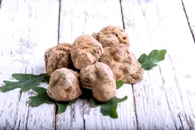 وزارة الثقافة تطلق مبادرة لدعم الفنانين السعوديين في مواجهة التحديات الاقتصادية