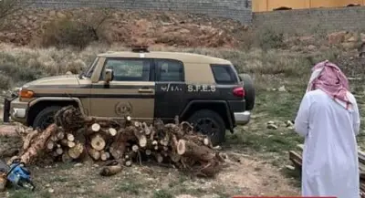 القوات الخاصة للأمن البيئي تضبط مخالفًا لتخزين الحطب المحلي في عسير وتطبق العقوبات النظامية