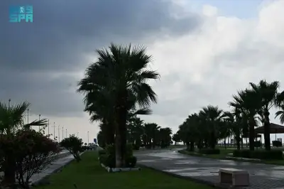 الأرصاد السعودية ترصد هطول أمطار على مناطق المملكة.. جازان تسجل أعلى كمية