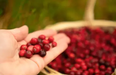 وزير التعليم يعلن عن إطلاق برنامج جديد لدعم الطلاب الموهوبين في المدارس السعودية