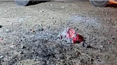 القوات الخاصة للأمن البيئي تضبط مواطنًا مخالفًا لنظام البيئة في محمية طويق الطبيعية