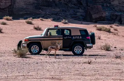 وزير الصحة السعودي يعلن عن إطلاق برنامج وطني للكشف المبكر عن الأمراض المزمنة