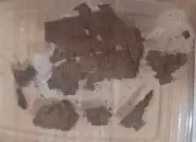 اكتشاف فريد: بردية من ملحمة الإلياذة داخل مومياء مصرية عمرها 1600 عام