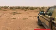 ضبط مخالف رعى 30 متنًا من الإبل في محمية الملك عبدالعزيز