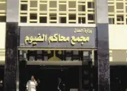 من الإعدام إلى السجن سنة.. كيف أنقذ الإهمال مصرياً في قضية وفاة شقيقته؟