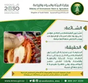 د. خالد النمر يفند شائعة ارتباط اللون الأبيض في الطماطم بالفشل الكلوي