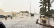 أمطار متوسطة وخفيفة على الرياض حتى الجمعة وأجواء ربيعية مميزة