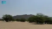 وادي المغمس البري في مكة وجهة طبيعية فريدة للسياحة البيئية