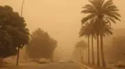 رياح نشطة وأتربة مثارة تهدد الرؤية في محافظة شروة وتستدعي الحذر