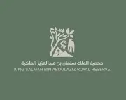 وزير التعليم يعلن عن إطلاق برنامج جديد لدعم الطلاب الموهوبين في المدارس الحكومية