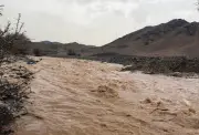 وزير الصحة السعودي يعلن عن إطلاق برنامج وطني شامل للصحة النفسية