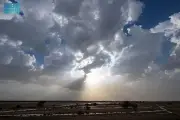 أمطار الخير تغمر أودية الطائف وتعيد الحياة إلى مجاري السيول والطبيعة