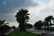 الأرصاد السعودية ترصد هطول أمطار على مناطق المملكة.. جازان تسجل أعلى كمية