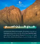 وزير الصحة السعودي يعلن عن إطلاق برنامج وطني شامل لتعزيز الصحة النفسية في المملكة