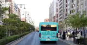 177 حافلة و15 مسارًا تعزز النقل الترددي للحجاج والزوار في المدينة المنورة