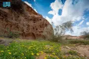 أسبوع البيئة 2026 في العلا: أثرك أخضر يعزز السياحة البيئية